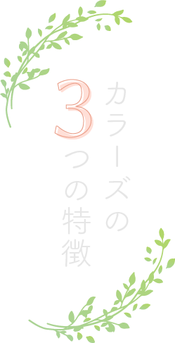 当院がこだわる5つのこと。